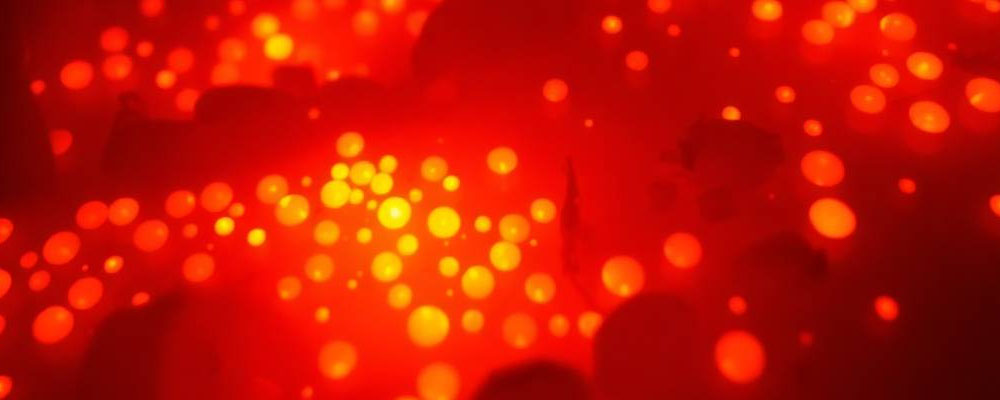 Онлайн-подготовка к ЕГЭ по истории: эффективные методы запоминания дат и фактов