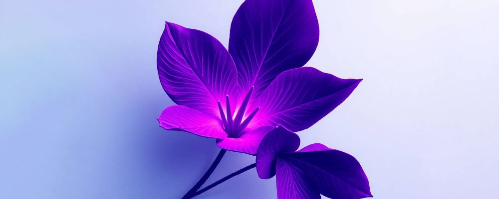 Онлайн-обучение: ключ к освоению маркетинговой аналитики